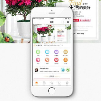 紫云门店微商城小程序开发